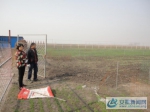 图为临泉县小肥羊家庭农场后面、近十亩地的牧草种植区。 - 安徽新闻网