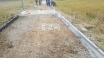 11月上旬，杨庙镇颜岗村境内，新修水泥路被挖掉要重建。（本报读者供图） - 安徽网络电视台