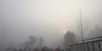 安徽多地发布大雾黄色预警 部分高速封闭 - 中安在线