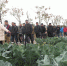 亳州市谯城区农机校组织学员外出考察 - 农业机械化信息