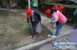小小志愿者 认真捡垃圾 - 安徽新闻网