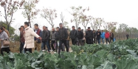 亳州市谯城区农机校完年度新型农民培训任务 - 农业机械化信息