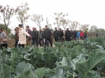 亳州市谯城区农机校完年度新型农民培训任务 - 农业机械化信息