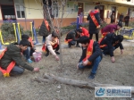 学生捡拾树叶及垃圾 - 安徽新闻网