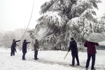 校领导带头和师生党员一起清理积雪 全力保障师生安全 - 安徽科技学院