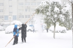 校领导带头和师生党员一起清理积雪 全力保障师生安全 - 安徽科技学院