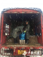 【众志成城抗暴雪】合肥菜价略有上升 市场储备充足 - 中安在线