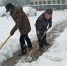 农学院组织师生党员进行义务扫雪 - 安徽科技学院
