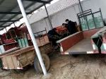 凤阳县做好低温雨雪冰冻天气农机安全生产工作 - 农业机械化信息