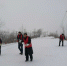 图为桃园镇党员志愿者在合徐高速宿州南出口驼峰桥冒雪抛洒融雪剂，保障交通安全。 - 安徽新闻网
