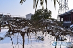 1月25日，江淮大地普降大雪。雪后的滁州市定远县二龙回族乡美丽乡村更美丽。 - 安徽新闻网