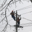 1月27日，贵池供电公司员工在茶园变10千伏长林112线路抢修覆冰断落导线。 - 安徽新闻网