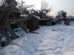 马家庵园艺场组织人员积极抗击雪灾 - 安徽经济新闻网