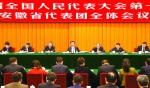 安徽代表团举行全体会议 王沪宁与代表们共同审议 - 人民代表大会常务委员会