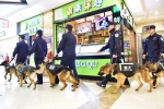 安徽铜陵警方：带上警犬巡闹市 - 合肥在线
