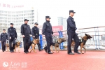 安徽铜陵警方：带上警犬巡闹市 - 合肥在线