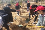“三月雷锋行 青年在行动”系列报道二:我校志愿者参加蚌埠市青年林建设示范活动 - 安徽科技学院