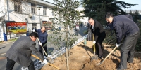 省局积极组织开展植树节活动 - 气象