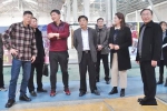 省体育局副局长王大军到滁州调研青少年体育工作 - 省体育局