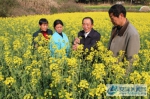 天门镇农业专家正在田间讲解油菜菌核病的防治方法 - 安徽新闻网
