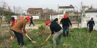 图为志愿者扬起铁锹、埋头植树 - 安徽新闻网