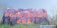 1桃花节欢迎您 - 安徽新闻网