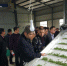 宣城首条清洁节能自动化茶叶生产线启动投产 - 农业机械化信息