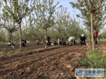 农民在伟盛家庭农场工作照片 - 安徽新闻网