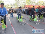 自行车慢骑 - 安徽新闻网