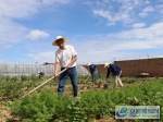 郭庆三带领员工开荒种地 - 安徽新闻网