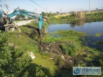清理水塘沟渠漂浮物和淤泥 - 安徽新闻网