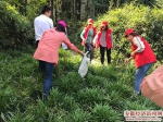 志愿者们认真的清理垃圾.jpg - 安徽经济新闻网