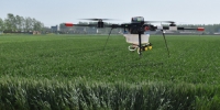 临泉智能无人植保机助力小麦“一喷三防” - 农业机械化信息