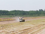 望江县农机局开展水稻种植机械化技术指导 - 农业机械化信息