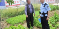 滁州：村民预防家禽生病非法种植罂粟 民警发现及时铲除 - 安徽新闻网