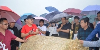 濉溪县农机合作社吹起秸秆综合利用绿色风 - 农业机械化信息