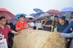 濉溪县农机合作社吹起秸秆综合利用绿色风 - 农业机械化信息