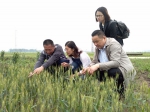 省农气中心赴寿县开展小麦产量调查 - 农业厅