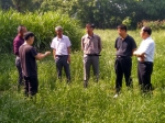 我校赴望江县开展南方草地项目建设工作 - 安徽科技学院
