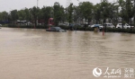 合肥遭遇雷雨突袭 大学城多条道路积水过膝 - 安徽网络电视台