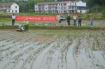 岳西县农机局举办水稻机插秧现场演示培训 - 农业机械化信息