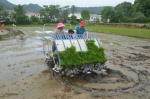 岳西县农机局举办水稻机插秧现场演示培训 - 农业机械化信息