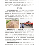 安徽农机化简报【三夏专刊（二）】 - 农业机械化信息