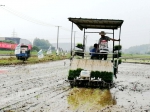 广德县举行水稻机插同步精准施药现场会 - 农业机械化信息