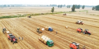 安徽省已收获小麦2132万亩 - 中安在线