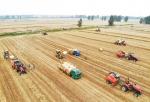 安徽省已收获小麦2132万亩 - 中安在线