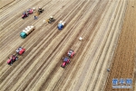 航拍：麦收机械展神奇 收割打捆两相宜 - 农业厅