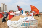 安徽麦收基本结束 已收获3492万亩占总面积的95% - 徽广播