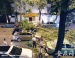 11日晚，宿州路一棵杨树折断后砸中三辆汽车。 - 安徽网络电视台