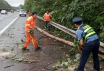 路政人员联合养护工人清理被大风挂到的树木 - News.Hefei.Cc
